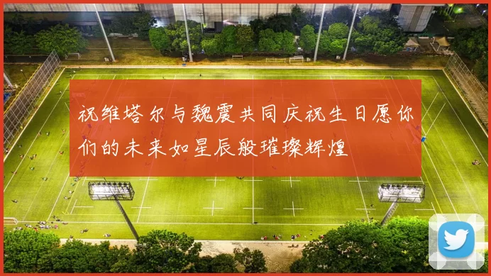 祝维塔尔与魏震共同庆祝生日愿你们的未来如星辰般璀璨辉煌